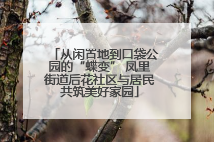 从闲置地到口袋公园的“蝶变” 凤里街道后花社区与居民共筑美好家园