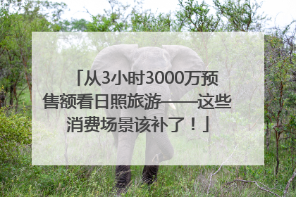 从3小时3000万预售额看日照旅游——这些消费场景该补了！