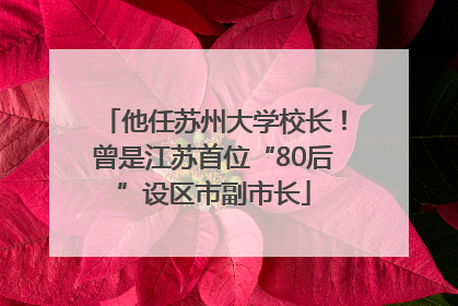 他任苏州大学校长！曾是江苏首位“80后”设区市副市长