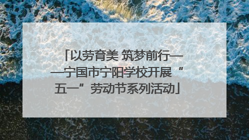 以劳育美 筑梦前行——宁国市宁阳学校开展“五一”劳动节系列活动
