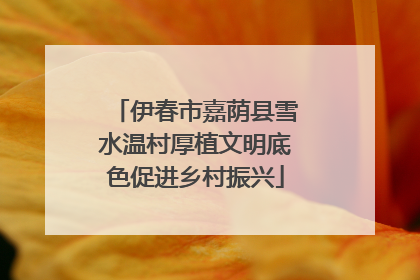 伊春市嘉荫县雪水温村厚植文明底色促进乡村振兴