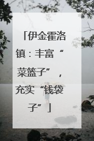 伊金霍洛镇：丰富“菜篮子”，充实“钱袋子”