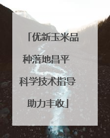 优新玉米品种落地昌平 科学技术指导助力丰收