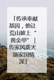 传承奉献基因，他让荒山披上“黄金甲”｜传家风薪火 颂家国情深