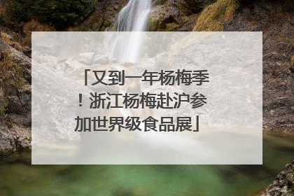 又到一年杨梅季！浙江杨梅赴沪参加世界级食品展