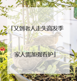 又到老人走失高发季 家人需加强看护