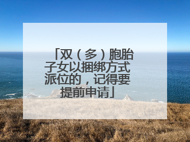 双（多）胞胎子女以捆绑方式派位的，记得要提前申请