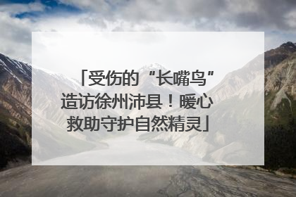 受伤的“长嘴鸟”造访徐州沛县！暖心救助守护自然精灵