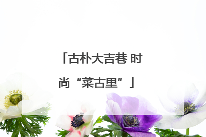 古朴大吉巷 时尚“菜古里”