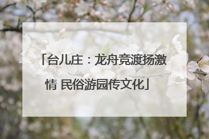 台儿庄：龙舟竞渡扬激情 民俗游园传文化
