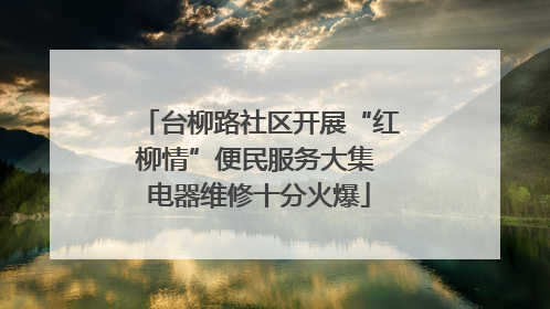 台柳路社区开展“红柳情”便民服务大集 电器维修十分火爆
