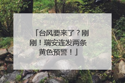 台风要来了？刚刚！瑞安连发两条黄色预警！
