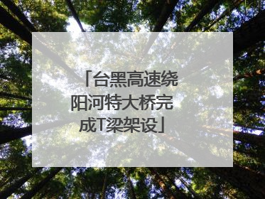 台黑高速绕阳河特大桥完成T梁架设