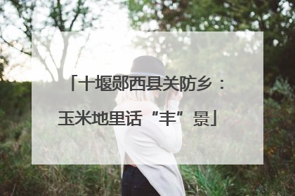 十堰郧西县关防乡：玉米地里话“丰”景