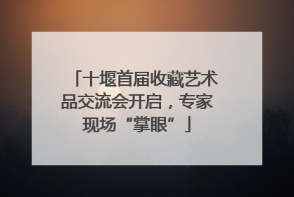 十堰首届收藏艺术品交流会开启，专家现场“掌眼”