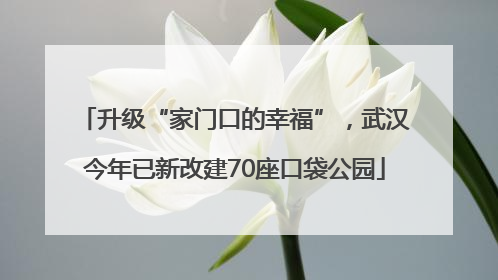 升级“家门口的幸福”，武汉今年已新改建70座口袋公园