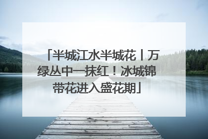半城江水半城花丨万绿丛中一抹红！冰城锦带花进入盛花期