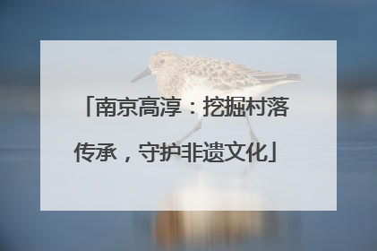 南京高淳：挖掘村落传承，守护非遗文化