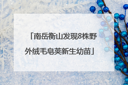 南岳衡山发现8株野外绒毛皂荚新生幼苗