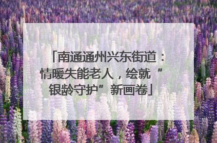 南通通州兴东街道：情暖失能老人，绘就“银龄守护”新画卷