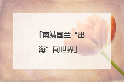 南靖国兰“出海”闯世界