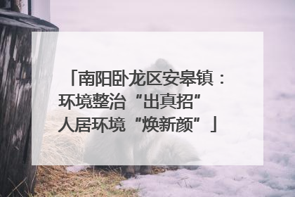 南阳卧龙区安皋镇：环境整治“出真招” 人居环境“焕新颜”