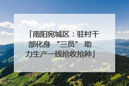 南阳宛城区：驻村干部化身 “三员” 助力生产一线抢收抢种