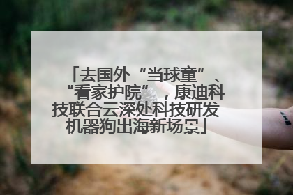 去国外“当球童”、“看家护院”，康迪科技联合云深处科技研发机器狗出海新场景