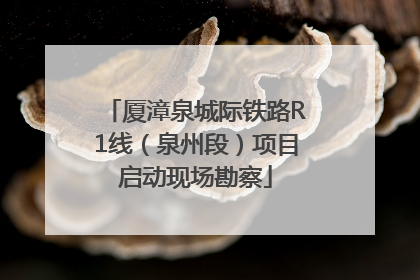 厦漳泉城际铁路R1线（泉州段）项目启动现场勘察