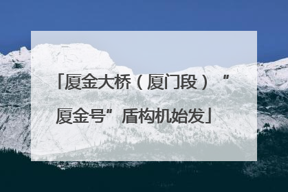 厦金大桥（厦门段）“厦金号”盾构机始发