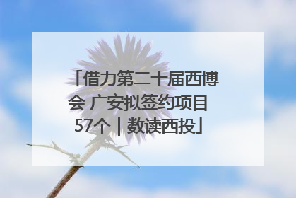 借力第二十届西博会 广安拟签约项目57个｜数读西投