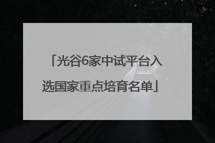 光谷6家中试平台入选国家重点培育名单