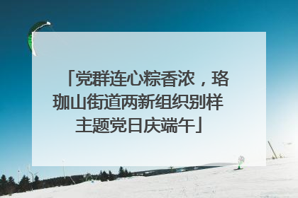 党群连心粽香浓，珞珈山街道两新组织别样主题党日庆端午