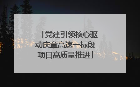 党建引领核心驱动庆章高速一标段项目高质量推进