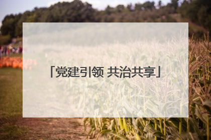 党建引领 共治共享