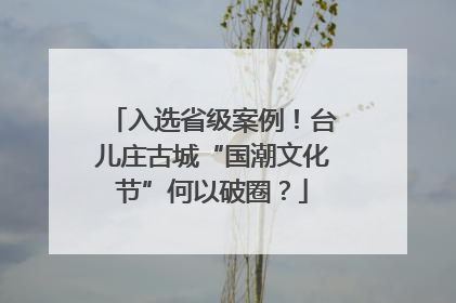 入选省级案例！台儿庄古城“国潮文化节”何以破圈？