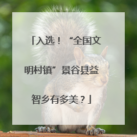 入选！“全国文明村镇”景谷县益智乡有多美？