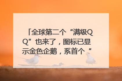 全球第二个“满级QQ”也来了，图标已显示金色企鹅，系首个“满级QQ”的小号