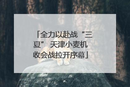 全力以赴战“三夏” 天津小麦机收会战拉开序幕