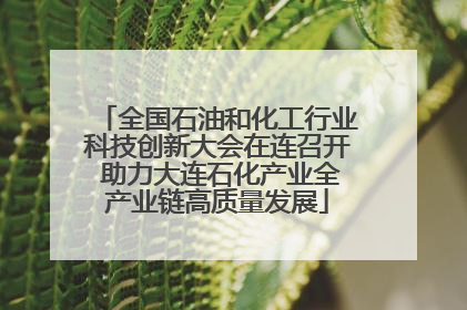全国石油和化工行业科技创新大会在连召开 助力大连石化产业全产业链高质量发展