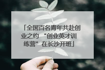 全国百名青年共赴创业之约 “创业英才训练营”在长沙开班