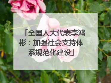 全国人大代表李鸿彬：加强社会支持体系规范化建设