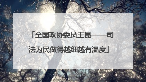 全国政协委员王昆——司法为民做得越细越有温度