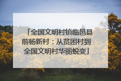 全国文明村镇临邑县前杨新村：从贫困村到全国文明村华丽蜕变