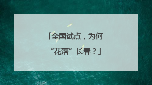 全国试点，为何“花落”长春？