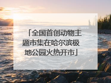 全国首创动物主题市集在哈尔滨极地公园火热开市