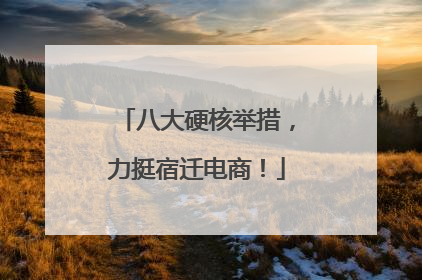 八大硬核举措，力挺宿迁电商！
