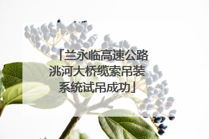 兰永临高速公路洮河大桥缆索吊装系统试吊成功