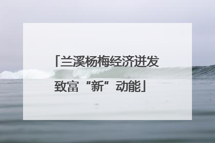 兰溪杨梅经济迸发致富“新”动能