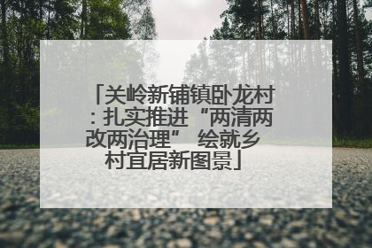 关岭新铺镇卧龙村：扎实推进“两清两改两治理” 绘就乡村宜居新图景